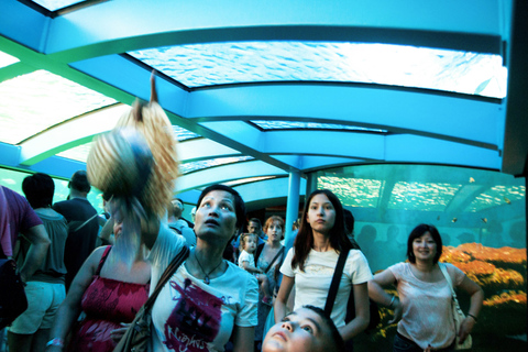 Mallorca: Palma Aquarium Entry Ticket with 3D Cinema