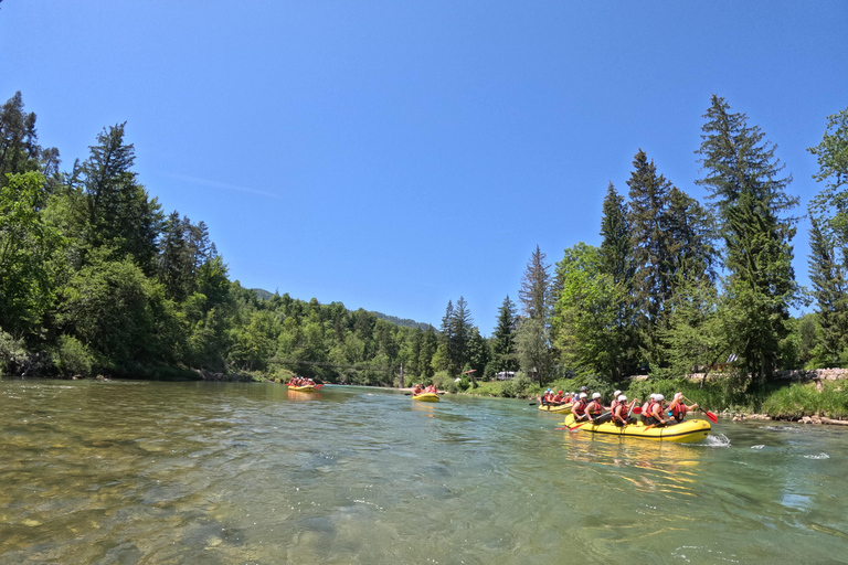 Slovenia: Sava or Soča White Water Rafting Tour with a Guide