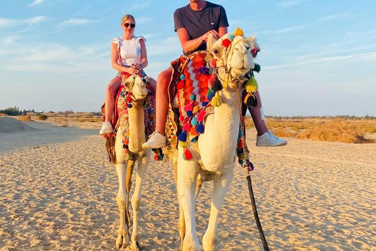 Hurghada: Camel Ride Vibes -The Ultimate Desert Experience 1-Hour Desert & Beach Camel Ride with Transfers