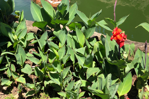 أروشا: التراث الثقافي، جولة تنزانيا