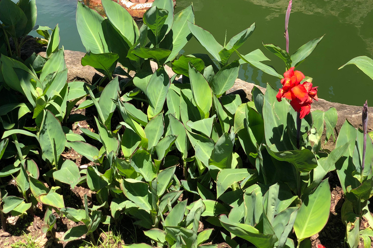 أروشا: التراث الثقافي، جولة تنزانيا