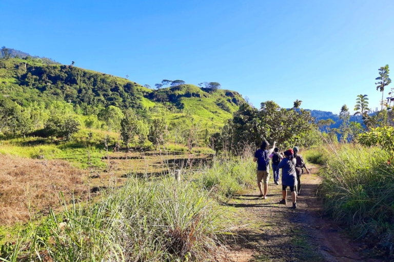 Trekking-Abenteuer von Ella nach Demodara: Pekoe Trail - Etappe 16Trekking-Abenteuer von Ella nach Demodara: Pekoe Trail Etappe 16