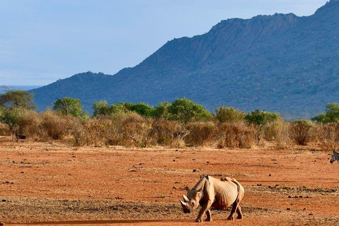 Mombasa: 4-Day Tsavo East, West, & Taita Hills Safari