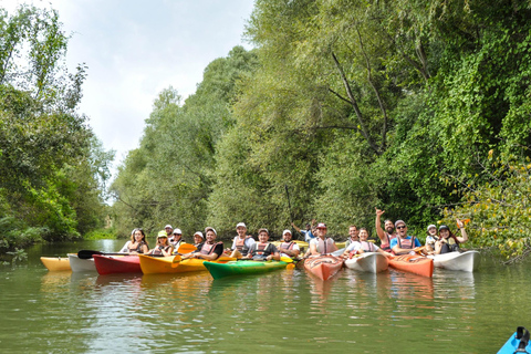 Varna: Kamchia River Kayaking Day Tour