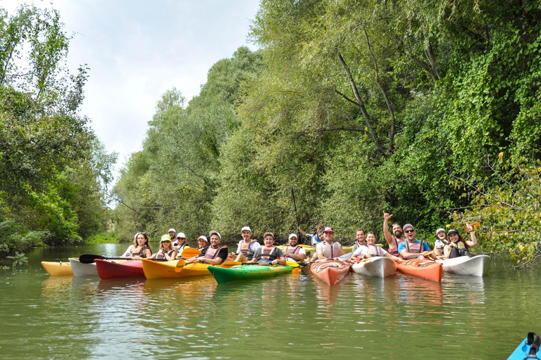Varna: Kamchia River Kayaking Day Tour