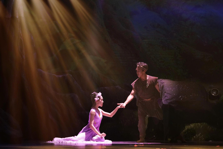 岘港：汉江晚餐游船之旅（含仙沙表演）岘港：汉江晚餐游船之旅，含仙沙表演