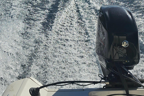 Private boat ride on Lake Lacar in San Martin de los Andes
