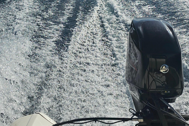 Private boat ride on Lake Lacar in San Martin de los Andes