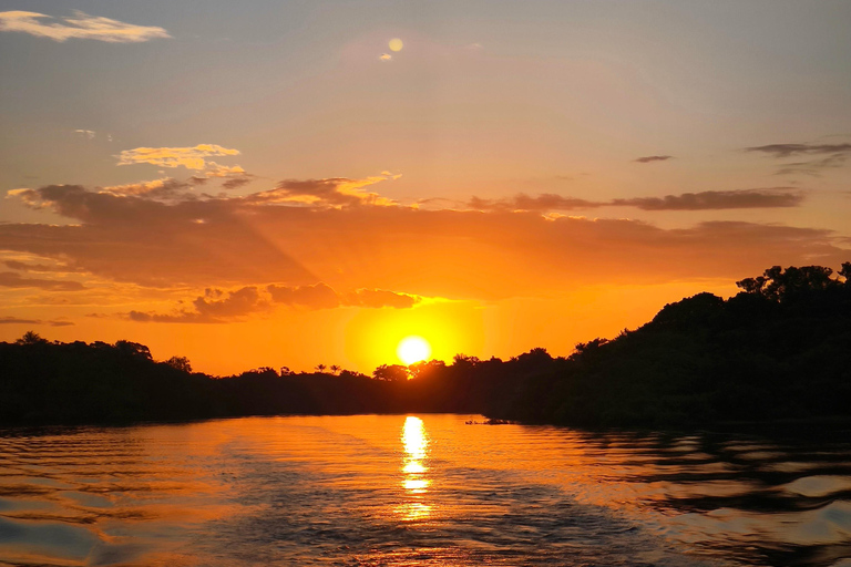 From Manaus: 4-Day Amazon Rainforest Expedition with Meals