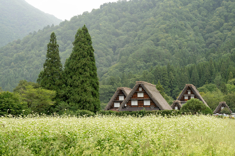 Nagoya: Takayama & Shirakawa-go Full Day Private Tour.