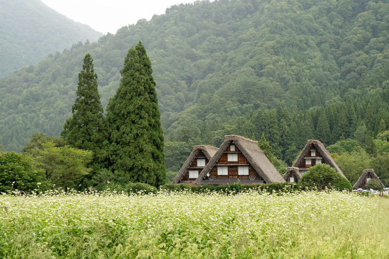 Nagoya: Takayama & Shirakawa-go Full Day Private Tour.