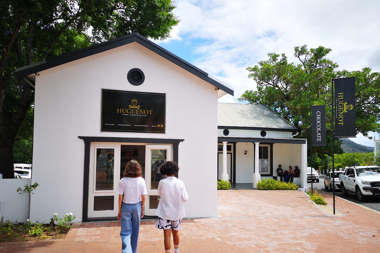 Cape Town: Cape Winelands and Vineyard Tour with Guide