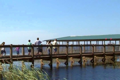 Orlando : hydroglisseur aux Everglades et réserve naturelleEverglades : 30 min en hydroglisseur et réserve naturelle
