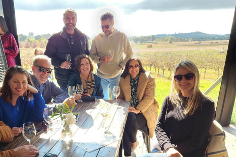 Cataratas do Niágara: Tour compartilhado de vinho em Niagara com transporte