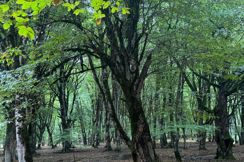 Shahdag or Khinaliq Day Group Tour from Baku From Baku to Gacresh: Shahdag tour (Cable car included)