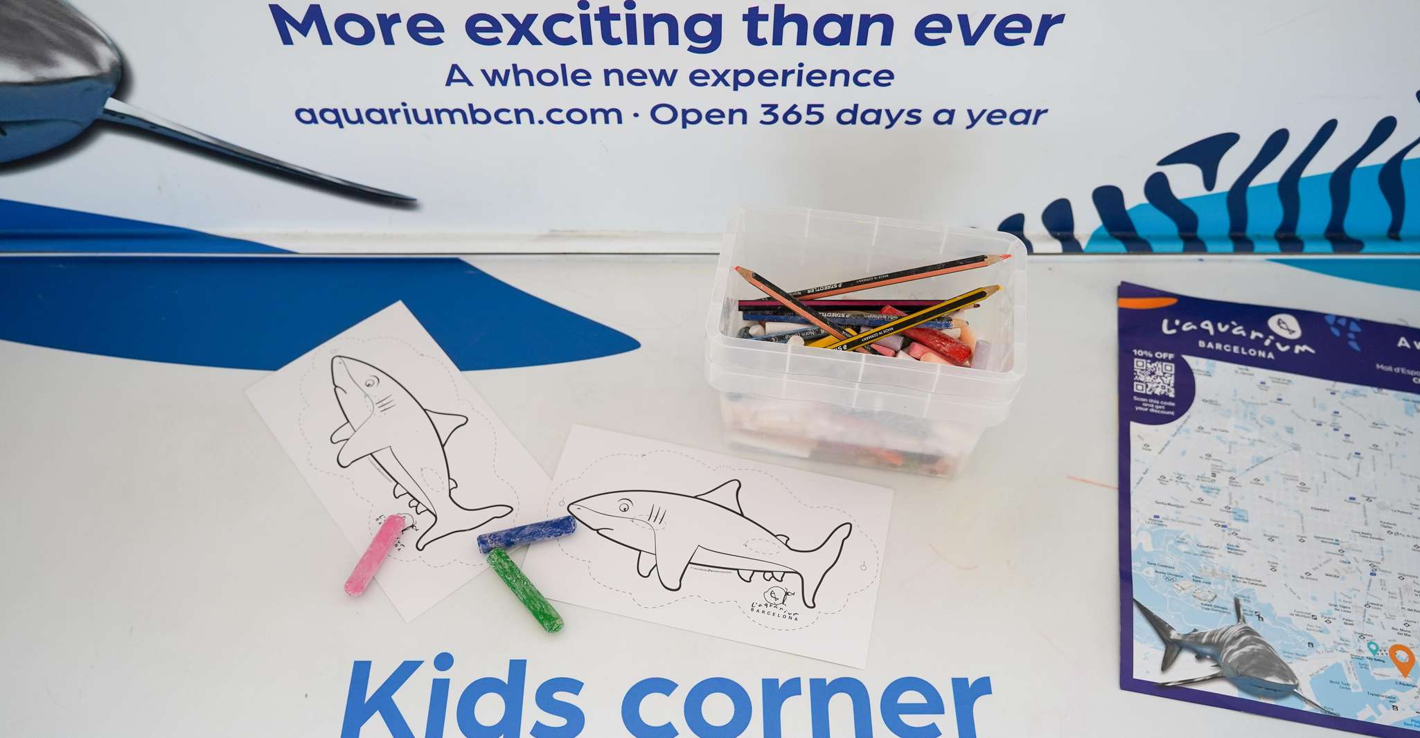 Barcelona: Daytime or Sunset Catamaran Cruise with Music photo 19