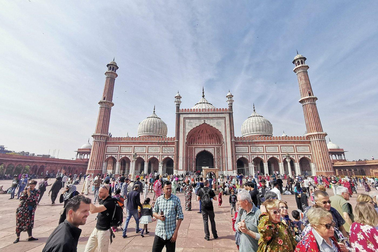 De Délhi: Tour particular de 6 dias pelo Triângulo Dourado e JodhpurTour particular com acomodação em hotel 5 estrelas