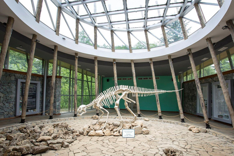 Kutaisi: Sataplia, Dinosaur Footprint, included Wine Tasting