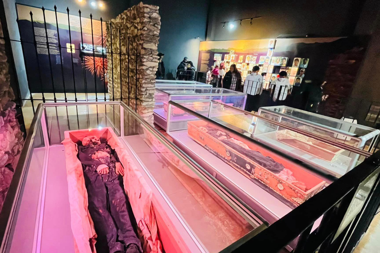 Wycieczka z przewodnikiem, transferem i biletami wstępu na wyprawę ArteagaMonterrey: Wycieczka z przewodnikiem po Arteaga, Coahuila