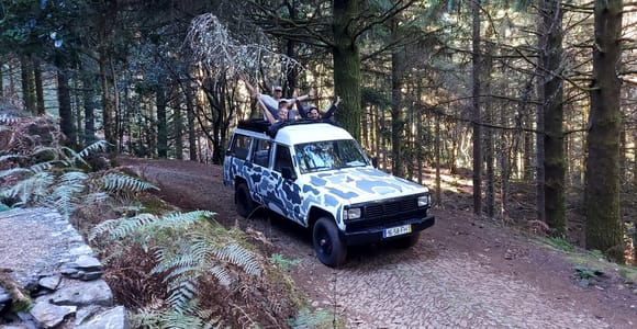 Madeira: 4 hours Jeep tour in Central Madeira local guide