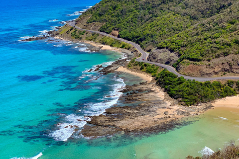 Melbourne: Tour di un giorno sulla Great Ocean Road con autista bilingue