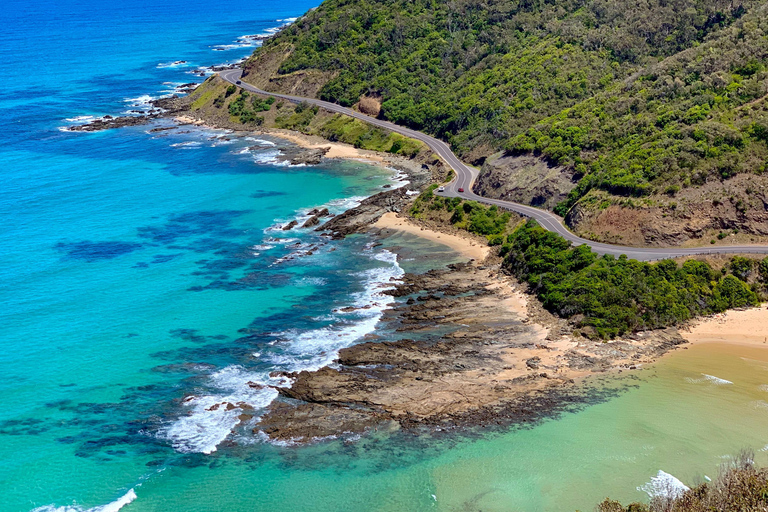 Melbourne: Great Ocean Road Day Tour with Bilingual Driver