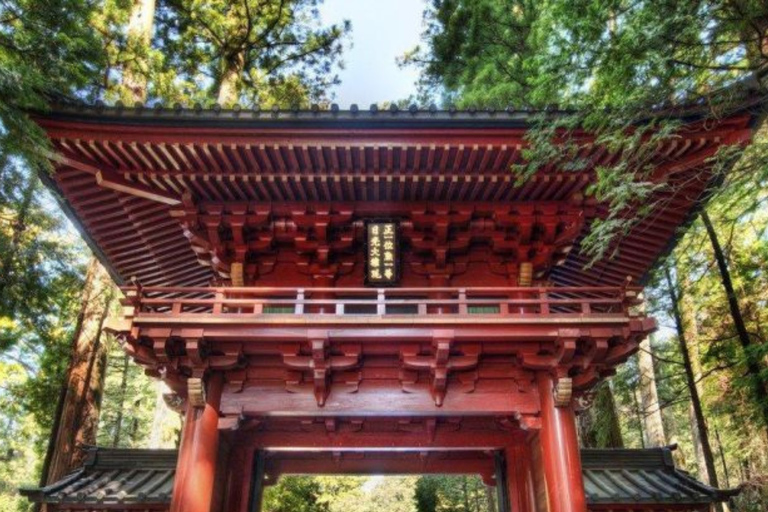 From Tokyo: Nikko UNESCO Sites Private English Guided Tour
