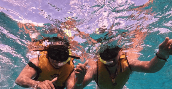 Cozumel: Private Snorkel Experience at Skyreef Beach Club