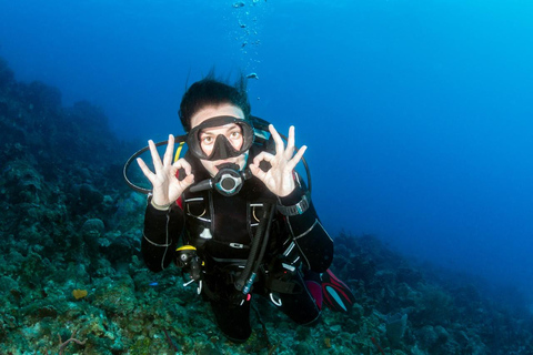 Hurghada: Scuba Diving for Certified Divers & Beginners Boat trip for the Certified Divers with Lunch & Transfer