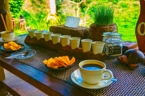 Bali: Serenity Sacred Tirta Empul, Rice Fields & Coffee