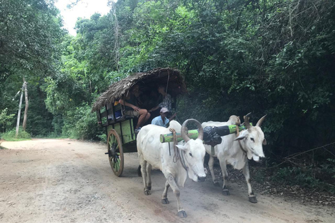 Von Sigiriya: Colombo oder Negombo oder Flughafen (CMB) Drop