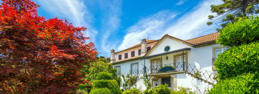 Vallée du Douro : visite de la Quinta Santa Júlia, dégustation de vins et déjeuner