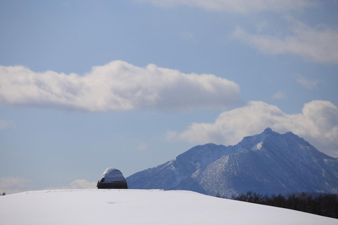 Sapporo: Lake Shikotsu Ice Festival, Snow Fun & Buddha Tour Shared Tour, Meet at Sapporo Station