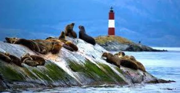 Navegación por el canal Beagle hasta la Isla de los Lobos