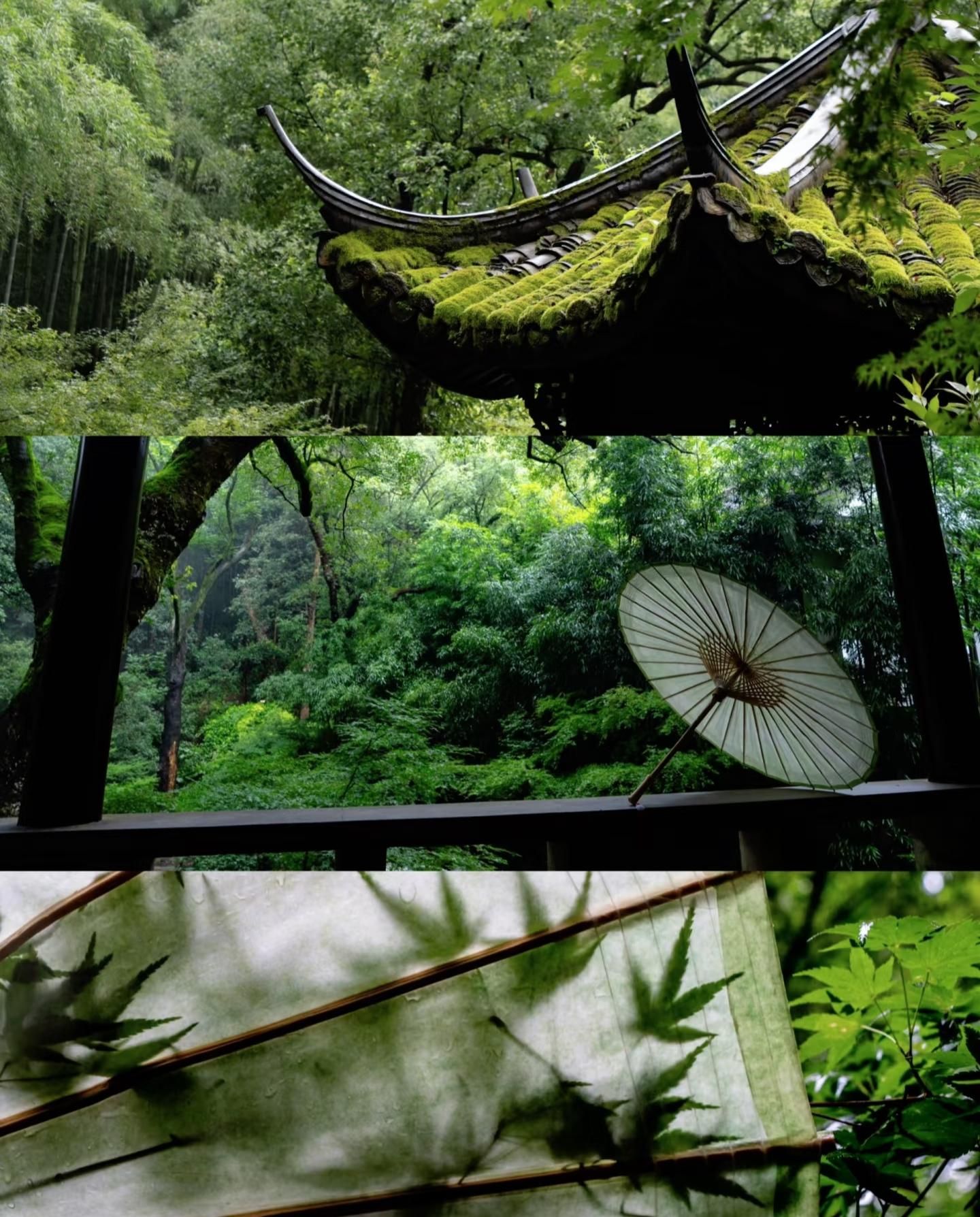 Hangzhou: Regen, Poesie & die Kunst des chinesischen Regenschirms