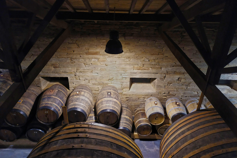 From Porto: Small-Group Douro Valley Wine Tour Lunch & Boat