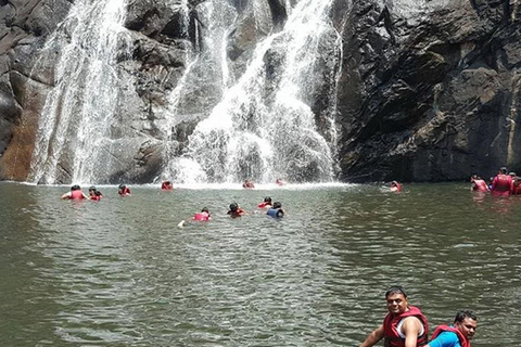 Goa: Dudhsagar Waterfall, Jeep Safari and Spice Plantation Dudhsagar Waterfall Trek