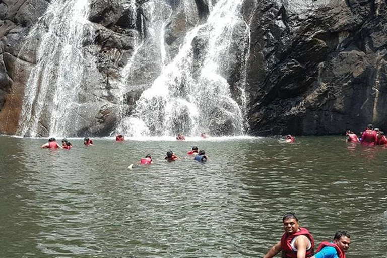Goa: Dudhsagar Waterfall, Jeep Safari and Spice Plantation Dudhsagar Waterfall Trek