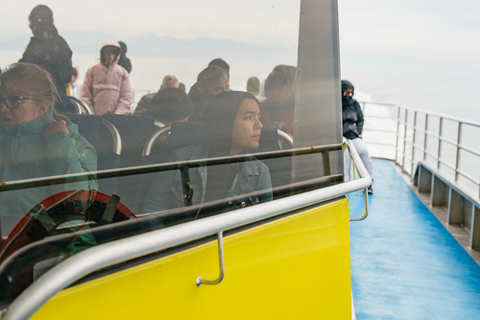 Vancouver: tour de medio día para avistar ballenas