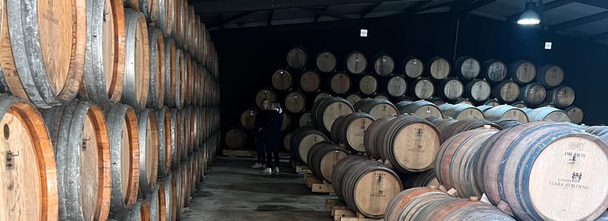 Vallée du Douro : Authentique visite guidée du vin