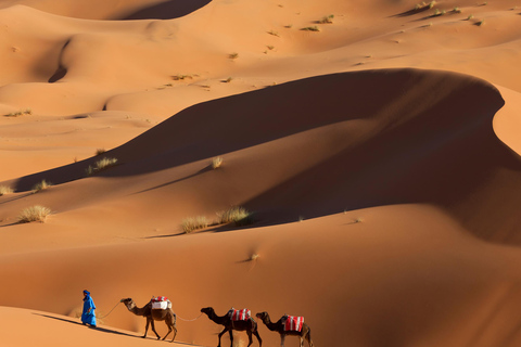 4-Day Private Desert Trip to Zagora & Merzouga From Agadir