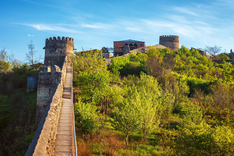 From Tbilisi: Kakheti Wine, Culture & Sighnaghi Group Tour