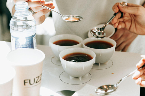 Colombo: Ceylon Tea Tasting Experience with Attractions