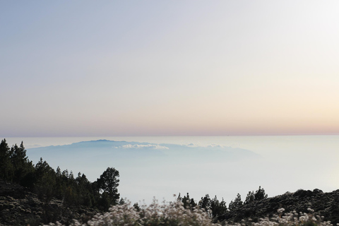 Teneriffa: Familj 4-sitsig Buggy Morgontur till Teide