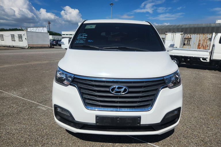 Puerto Plata: Off-Road Buggy Tour with River