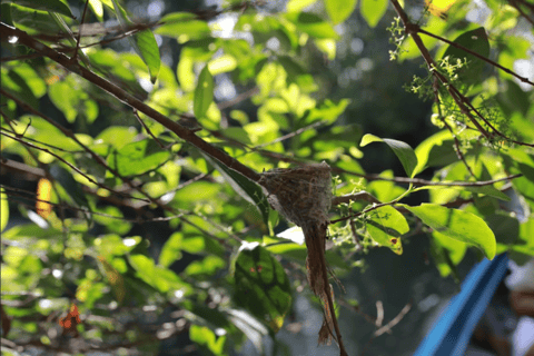 Från Ho Chi Minh: Flytande marknad och naturreservat hela dagenHo Chi Minh: Smågruppsdag med flytande marknad och naturreservat