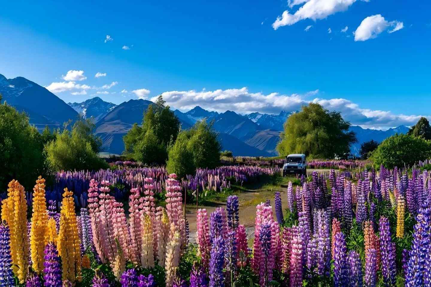 Lake Tekapo & Hot Pools Experience - Lake Tekapo & Hot Pools Experience