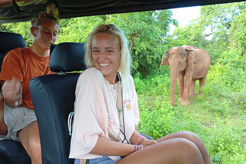 Yala, Udawalawe Safari &amp; Elephant Home Esperienza di vitaYALA Safari, Casa dell'elefante Esperienza di vita