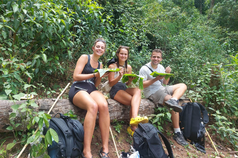 Chiang Mai: 2-Days Jungle Trek, Waterfalls and Karen Village