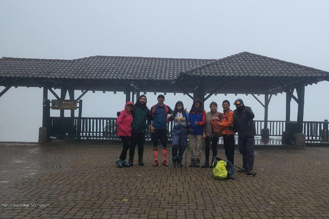 Pululahua Volcano Sightseeing Tour